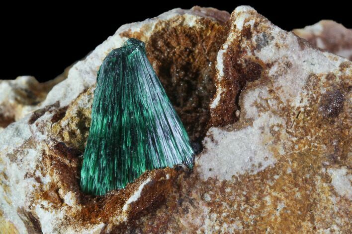 Fibrous Green Malachite Crystals on Matrix - Morocco #90342